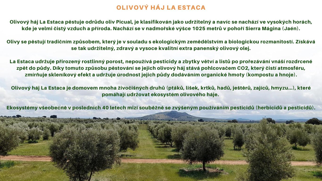 OLIVOVÝ HÁJ LA ESTACA Olivový háj pěstuje odrůdu oliv Picual, je klasifikován jako udržitelný a navíc se nachází ve vysokých horách, kde je velmi čistý vzduch a příroda. Nachází se v nadmořské výšce 1025 metrů v poh